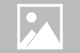 蓝色警戒巡逻路线，🛡 1. 军事/安全领域（最常见）